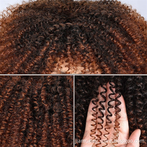 Short Hair Afro Kinky Curly Wigs With Bangs For Women African Synthetic Ombre Cosplay Wigs Wholesale